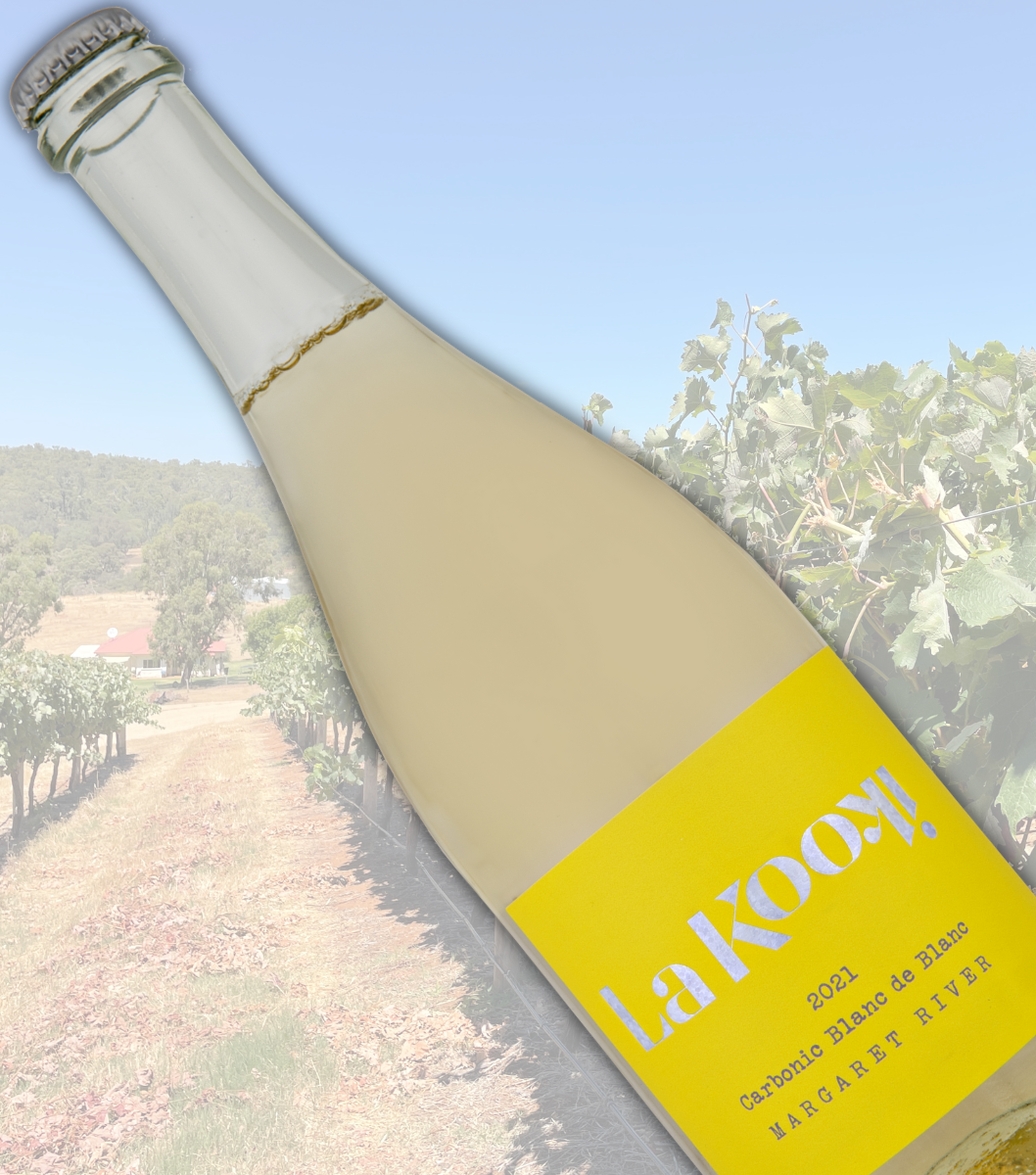 Cbdb 21 (2) Welcome Kookis 3