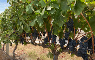 Trade &Amp; Media 14