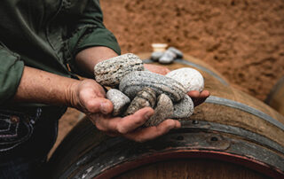 Trade &Amp; Media 13